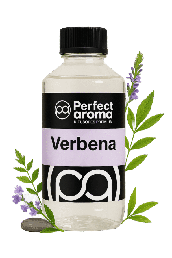 Verbena