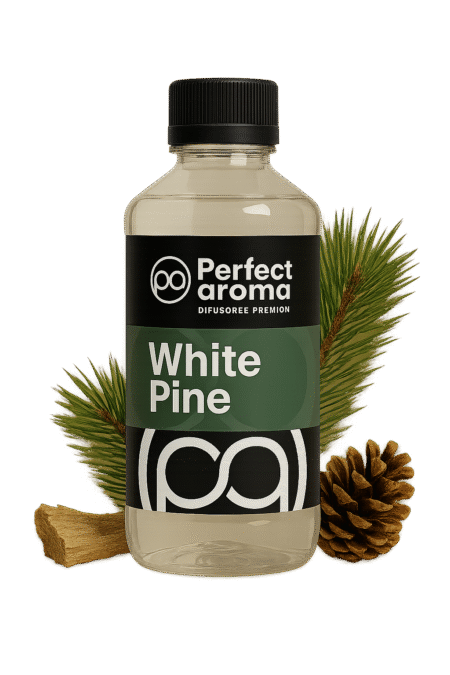 Winter Pine